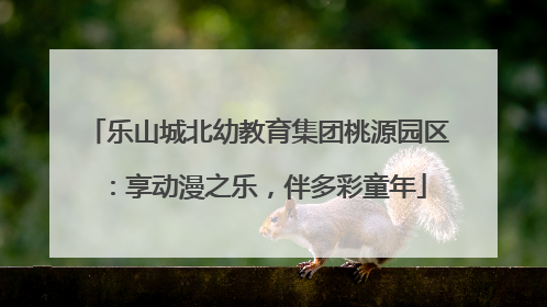 乐山城北幼教育集团桃源园区：享动漫之乐，伴多彩童年